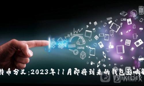 比特币分叉：2023年11月即将到来的钱包影响解析