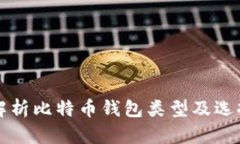 全面解析比特币钱包类型及选择指南