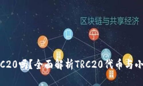 小狐钱包支持TRC20吗？全面解析TRC20代币与小狐钱包的兼容性