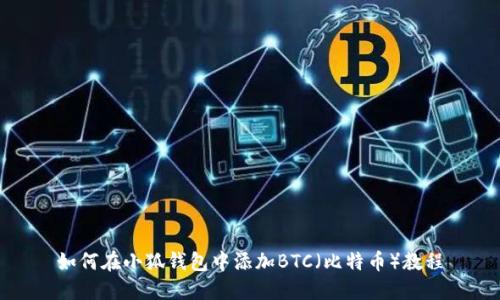 如何在小狐钱包中添加BTC（比特币）教程