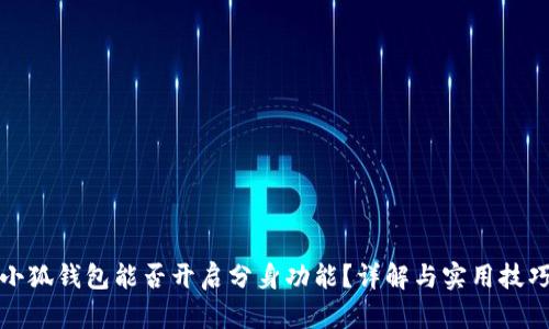 小狐钱包能否开启分身功能？详解与实用技巧