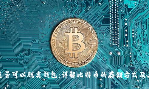 比特币是否可以脱离钱包：详解比特币的存储方式及其安全性