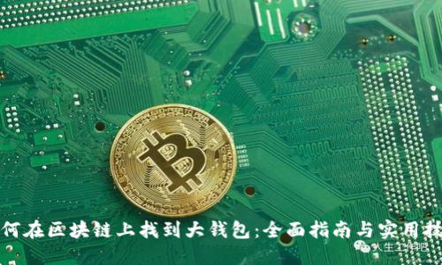 如何在区块链上找到大钱包：全面指南与实用技巧