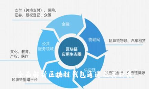 全面解析区块链钱包通道及其种类