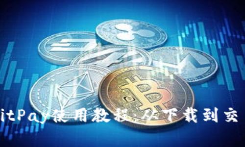 比特币钱包BitPay使用教程：从下载到交易全流程详解