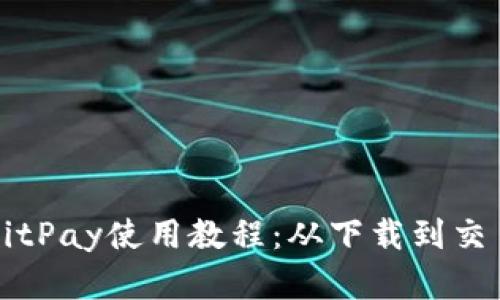 比特币钱包BitPay使用教程：从下载到交易全流程详解