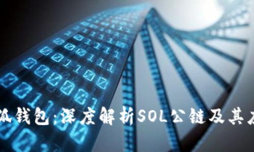 小狐钱包：深度解析SOL公链及其应用