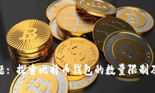 博客标题: 探索比特币钱包的数量限制及其影响