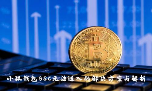 小狐钱包BSC无法进入的解决方案与解析