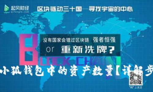 如何查看小狐钱包中的资产数量？详解步骤与技巧