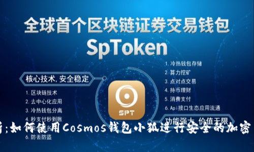 全面解析：如何使用Cosmos钱包小狐进行安全的加密货币管理