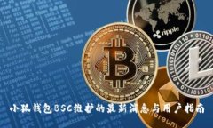 小狐钱包BSC维护的最新消