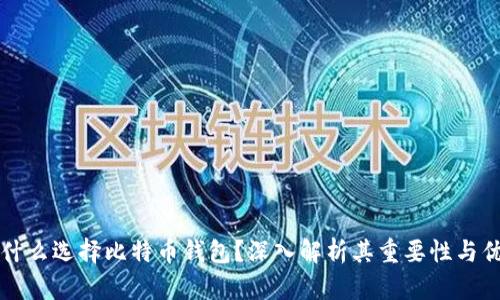 为什么选择比特币钱包？深入解析其重要性与优势