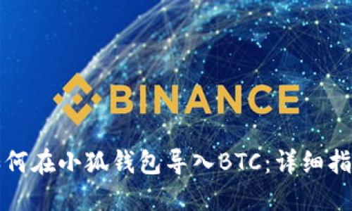 如何在小狐钱包导入BTC：详细指南