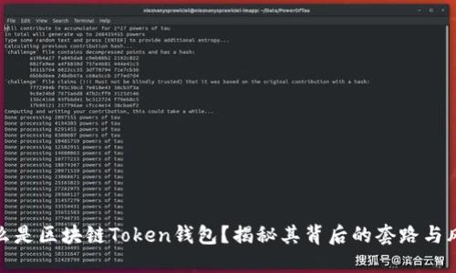 什么是区块链Token钱包？揭秘其背后的套路与风险