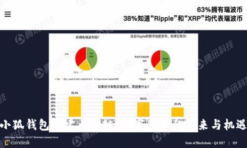 小狐钱包创建币安链：数字货币的未来与机遇