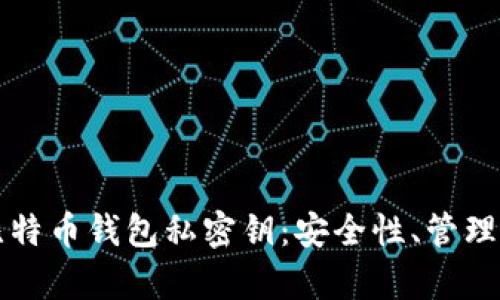 全面解析比特币钱包私密钥：安全性、管理与使用指南