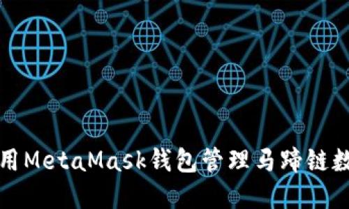 如何使用MetaMask钱包管理马蹄链数字资产