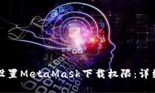 如何设置MetaMask下载权限：详细指南