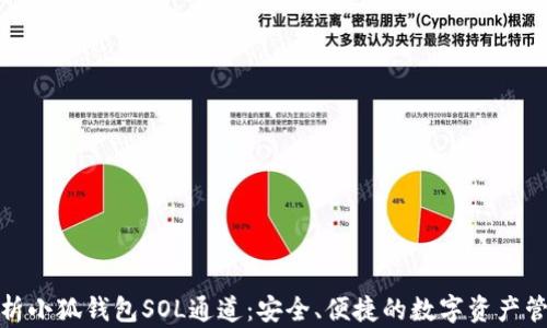 
全面解析小狐钱包SOL通道：安全、便捷的数字资产管理之道