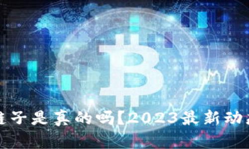 小狐钱包换链子是真的吗？2023最新动态与发展分析