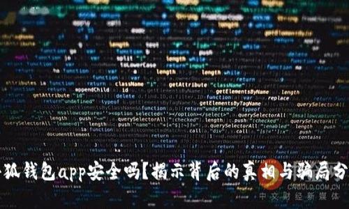 小狐钱包app安全吗？揭示背后的真相与骗局分析