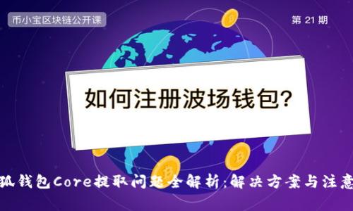 : 小狐钱包Core提取问题全解析：解决方案与注意事项