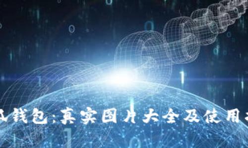 小狐钱包：真实图片大全及使用指南