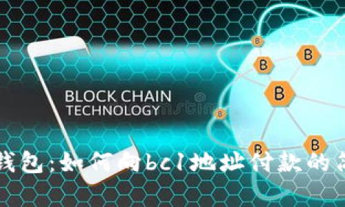 比特币钱包：如何向bc1地址付款的简单指南