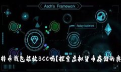 比特币钱包能放BCC吗？探