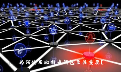 为何使用比特币钱包至关重要？