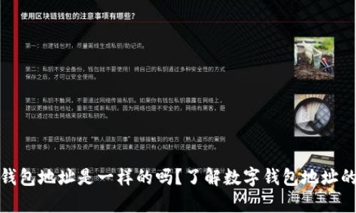 小狐钱包地址是一样的吗？了解数字钱包地址的奥秘