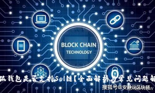 小狐钱包是否支持Sol链？全面解析与常见问题解答