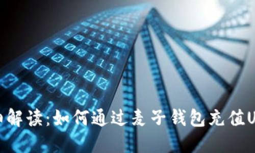 详细解读：如何通过麦子钱包充值USDT