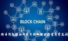 比特币钱包验证码收不到的解决方案与常见问题