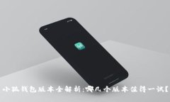 小狐钱包版本全解析：哪