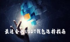 最适合的USDT钱包选择指南