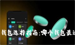 比特币钱包选择指南：哪