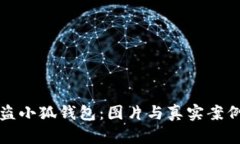 揭秘盗小狐钱包：图片与