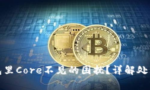 如何解决小狐钱包里Core不见的困扰？详解处理方法与注意事项