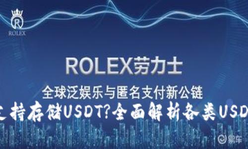 哪些钱包支持存储USDT?全面解析各类USDT钱包选择