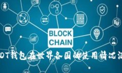 USDT钱包在世界各国的使用