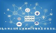 小狐钱包私钥忘记了怎么