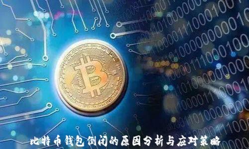 
比特币钱包倒闭的原因分析与应对策略