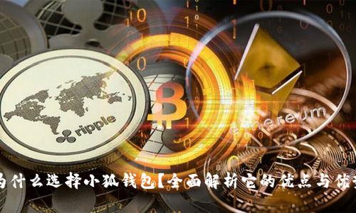 为什么选择小狐钱包？全面解析它的优点与优势