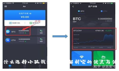 为什么选择小狐钱包？全面解析它的优点与优势