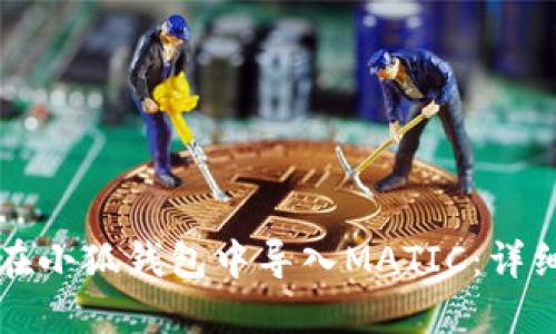 如何在小狐钱包中导入MATIC：详细指南
