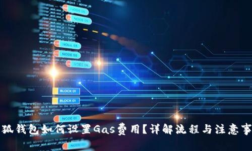 小狐钱包如何设置Gas费用？详解流程与注意事项