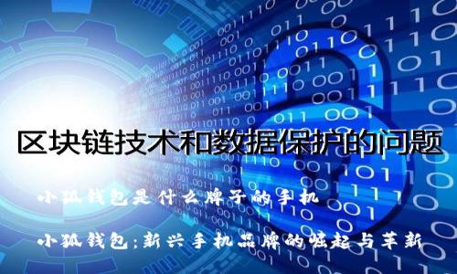 小狐钱包是什么牌子的手机

小狐钱包：新兴手机品牌的崛起与革新
