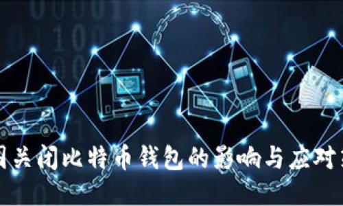 中国关闭比特币钱包的影响与应对策略